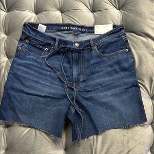 American Eagle Outfitters Dark Blue Denim Jean Shorts